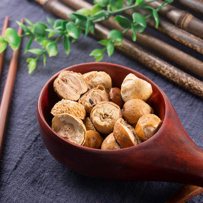 500g Chuan Lian Zi 川楝子, Fructus Toosendan, Toosendan Fruit, Szechwan Chinaberry Fruit, Jin Ling Zi-[Chinese Herbs Online]-[chinese herbs shop near me]-[Traditional Chinese Medicine TCM]-[chinese herbalist]-Find Chinese Herb™
