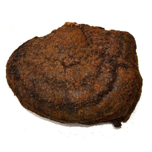 500g Cu Mao He Kong Jun 粗毛黄褐孔菌, Xanthochrous Hispidus, Wild Mushroom-[Chinese Herbs Online]-[chinese herbs shop near me]-[Traditional Chinese Medicine TCM]-[chinese herbalist]-Find Chinese Herb™