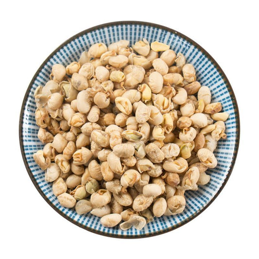 500g Da Dou Huang Juan 大豆黃卷, Semen Sojae Germinatum, Soybean Germinated-[Chinese Herbs Online]-[chinese herbs shop near me]-[Traditional Chinese Medicine TCM]-[chinese herbalist]-Find Chinese Herb™