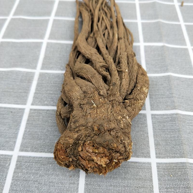 500g Dang Gui Ge 當歸个, Whole Radix Angelicae Sinensis, Chinese Angelica Root, Dong Quai-[Chinese Herbs Online]-[chinese herbs shop near me]-[Traditional Chinese Medicine TCM]-[chinese herbalist]-Find Chinese Herb™