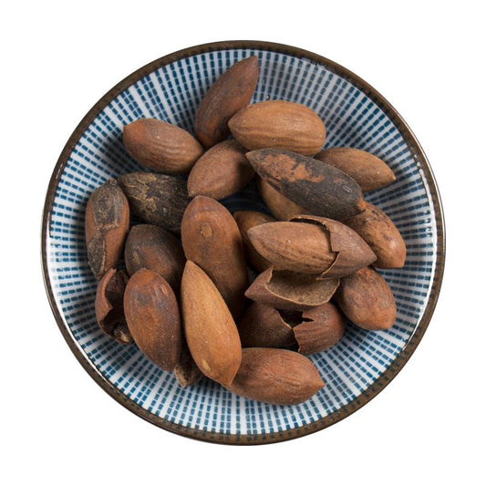 500g Fei Zi 榧子, Semen Torreyae, Grand Torreya Seed-[Chinese Herbs Online]-[chinese herbs shop near me]-[Traditional Chinese Medicine TCM]-[chinese herbalist]-Find Chinese Herb™