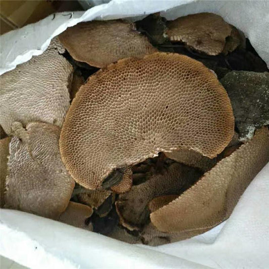 500g Feng Wo Ling Zhi 蜂窝灵芝, Reishi Mushroom, Ganoderma Lucidum, Wild Black Lingzhi-[Chinese Herbs Online]-[chinese herbs shop near me]-[Traditional Chinese Medicine TCM]-[chinese herbalist]-Find Chinese Herb™