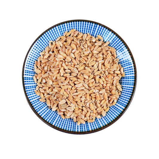 500g Fu Xiao Mai 浮小麥, Fructus Tritici levis, Blighted Wheat-[Chinese Herbs Online]-[chinese herbs shop near me]-[Traditional Chinese Medicine TCM]-[chinese herbalist]-Find Chinese Herb™