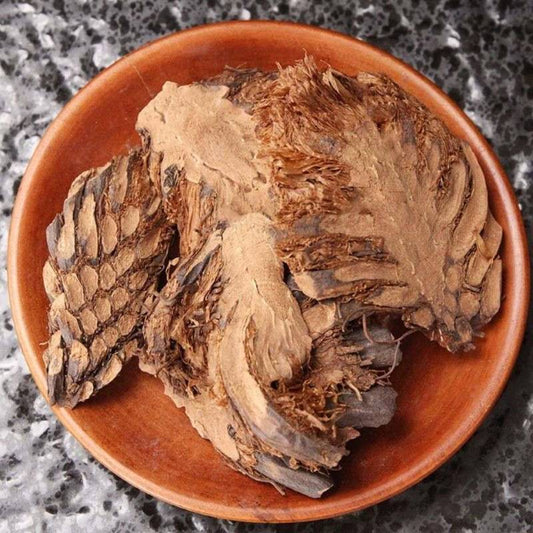 500g Guan Zhong 貫眾, Cyrtomium Rhizome, Rhizoma Cyrtomii, Guan Jie-[Chinese Herbs Online]-[chinese herbs shop near me]-[Traditional Chinese Medicine TCM]-[chinese herbalist]-Find Chinese Herb™