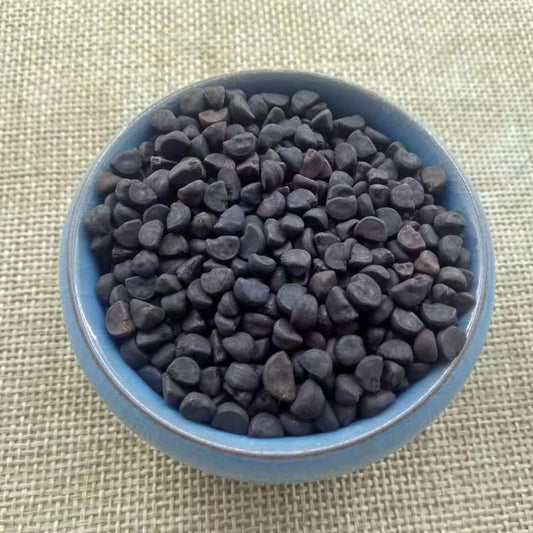 500g Hei Chou 黑丑, Qian Niu Zi, Black Semen Pharbitidis, Pharbitis Seed-[Chinese Herbs Online]-[chinese herbs shop near me]-[Traditional Chinese Medicine TCM]-[chinese herbalist]-Find Chinese Herb™
