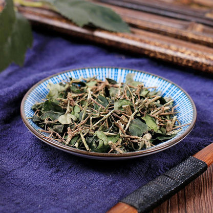 500g Hu Ci 虎刺, Damnacanthus Indicus Gaertn, Fu Niu Hua-[Chinese Herbs Online]-[chinese herbs shop near me]-[Traditional Chinese Medicine TCM]-[chinese herbalist]-Find Chinese Herb™