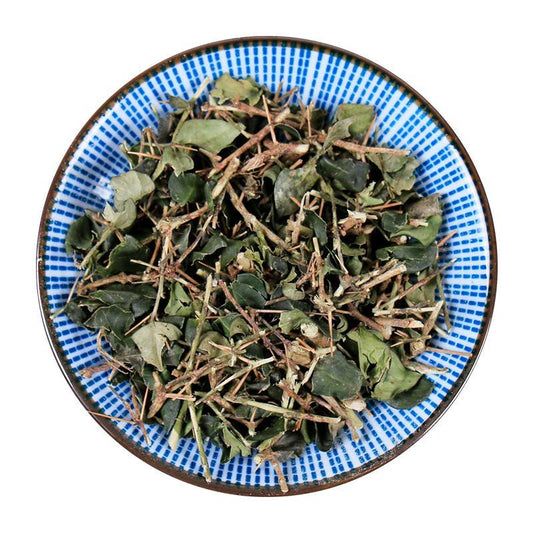 500g Hu Ci 虎刺, Damnacanthus Indicus Gaertn, Fu Niu Hua-[Chinese Herbs Online]-[chinese herbs shop near me]-[Traditional Chinese Medicine TCM]-[chinese herbalist]-Find Chinese Herb™