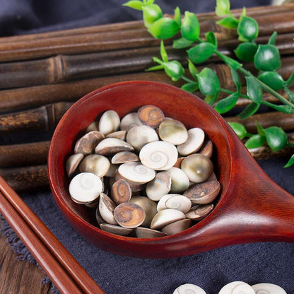500g Jia Xiang 甲香, Turbo Cornutus Solander, Snail, Tai Ji Shi-[Chinese Herbs Online]-[chinese herbs shop near me]-[Traditional Chinese Medicine TCM]-[chinese herbalist]-Find Chinese Herb™