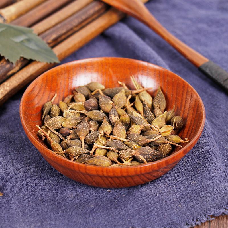 500g Lian Qiao 連翹, Lao Qiao, Fructus Forsythiae, Forsythia Suspensa-[Chinese Herbs Online]-[chinese herbs shop near me]-[Traditional Chinese Medicine TCM]-[chinese herbalist]-Find Chinese Herb™