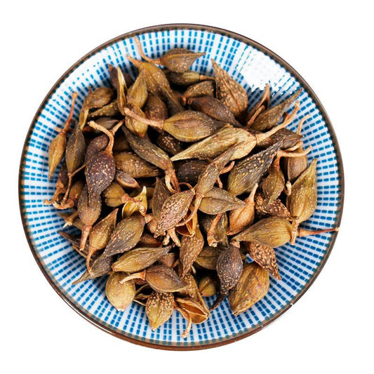 500g Lian Qiao 連翹, Lao Qiao, Fructus Forsythiae, Forsythia Suspensa-[Chinese Herbs Online]-[chinese herbs shop near me]-[Traditional Chinese Medicine TCM]-[chinese herbalist]-Find Chinese Herb™