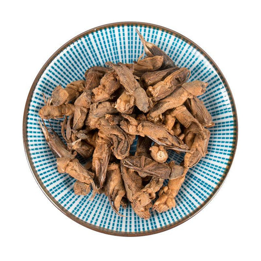 500g Lou Gu 蝼蛄, African Mole Cricket, Chinese Mole Cricket-[Chinese Herbs Online]-[chinese herbs shop near me]-[Traditional Chinese Medicine TCM]-[chinese herbalist]-Find Chinese Herb™