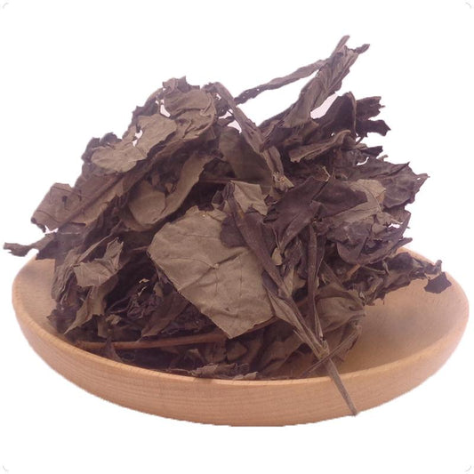 500g Mu Jing Ye 牡荊葉, Folium Viticis Cannabifoliae, Folium Viticis Negundo, Mu Jing Ke-[Chinese Herbs Online]-[chinese herbs shop near me]-[Traditional Chinese Medicine TCM]-[chinese herbalist]-Find Chinese Herb™