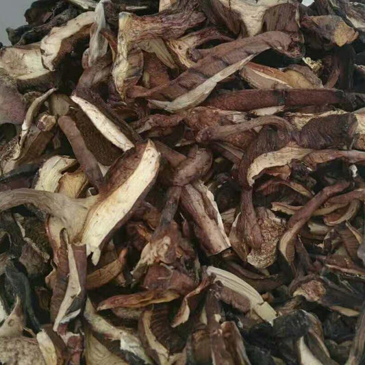 500g Niu Gan Jun 牛肝菌, Boletus Mushroom, King Bolete, Chinese Soups Mushroom-[Chinese Herbs Online]-[chinese herbs shop near me]-[Traditional Chinese Medicine TCM]-[chinese herbalist]-Find Chinese Herb™
