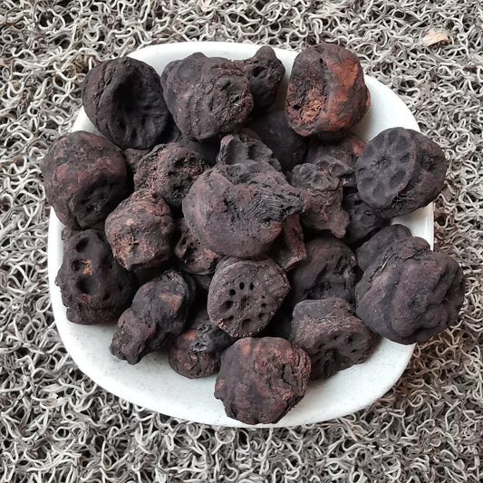 500g Ou Jie Tan 藕節碳, Nodus Nelumbinis Rhizomatis, Lotus Rhizome Node-[Chinese Herbs Online]-[chinese herbs shop near me]-[Traditional Chinese Medicine TCM]-[chinese herbalist]-Find Chinese Herb™