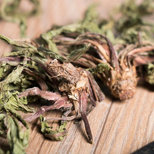 500g Pu Gong Ying 蒲公英, Herba Taraxaci, Mongolian Dandelion Herb, Po Po Ding-[Chinese Herbs Online]-[chinese herbs shop near me]-[Traditional Chinese Medicine TCM]-[chinese herbalist]-Find Chinese Herb™