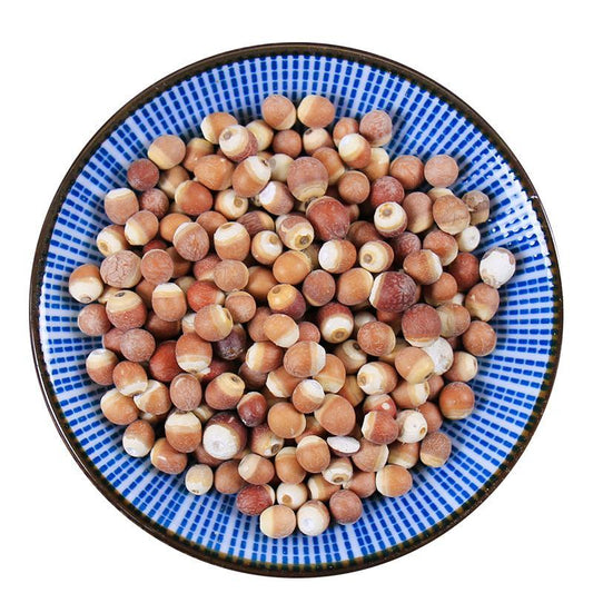 500g Qian Shi 芡實, Gorgon fruit, Gordon Euryale Seed, Semen Euryales, Ji Tou Mi-[Chinese Herbs Online]-[chinese herbs shop near me]-[Traditional Chinese Medicine TCM]-[chinese herbalist]-Find Chinese Herb™