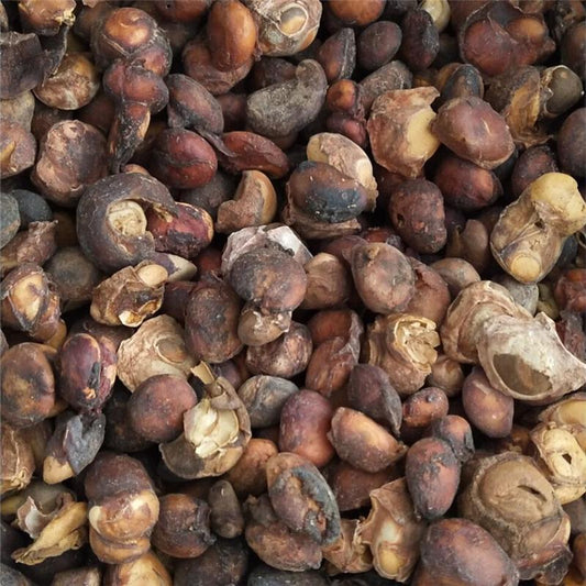 500g Qu Tou Ji 屈头鸡, Capperis Versicolor Griff-[Chinese Herbs Online]-[chinese herbs shop near me]-[Traditional Chinese Medicine TCM]-[chinese herbalist]-Find Chinese Herb™
