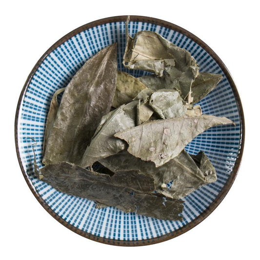 500g Shan Xiang Yuan Ye 山香圓葉, Folium Turpiniae, Turpinia Arguta Leaf-[Chinese Herbs Online]-[chinese herbs shop near me]-[Traditional Chinese Medicine TCM]-[chinese herbalist]-Find Chinese Herb™