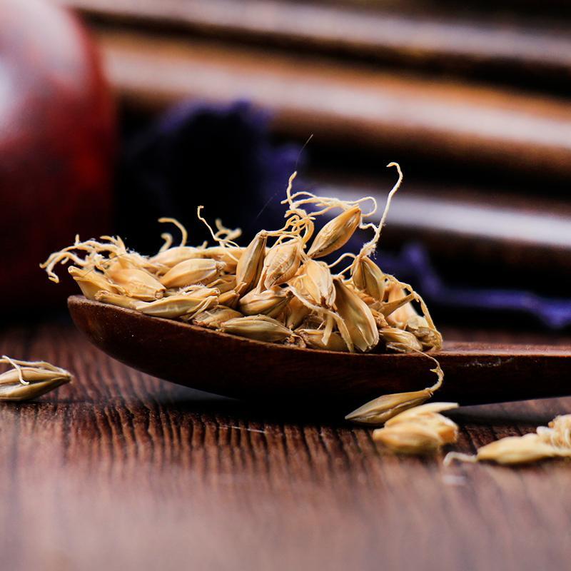 500g Sheng Mai Ya 生麥芽, Fructus Hordei Germinatus, Raw Malt-[Chinese Herbs Online]-[chinese herbs shop near me]-[Traditional Chinese Medicine TCM]-[chinese herbalist]-Find Chinese Herb™