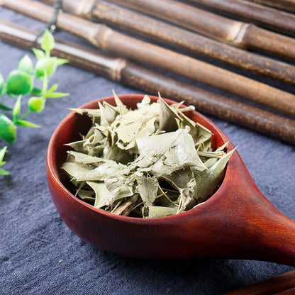 500g Shi Da Gong Lao Ye 十大功勞葉, Chinese Mahonia Leaf, Mao Er Ci, Ba Jiao Ci-[Chinese Herbs Online]-[chinese herbs shop near me]-[Traditional Chinese Medicine TCM]-[chinese herbalist]-Find Chinese Herb™