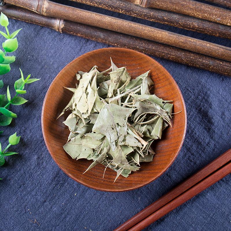 500g Shi Da Gong Lao Ye 十大功勞葉, Chinese Mahonia Leaf, Mao Er Ci, Ba Jiao Ci-[Chinese Herbs Online]-[chinese herbs shop near me]-[Traditional Chinese Medicine TCM]-[chinese herbalist]-Find Chinese Herb™