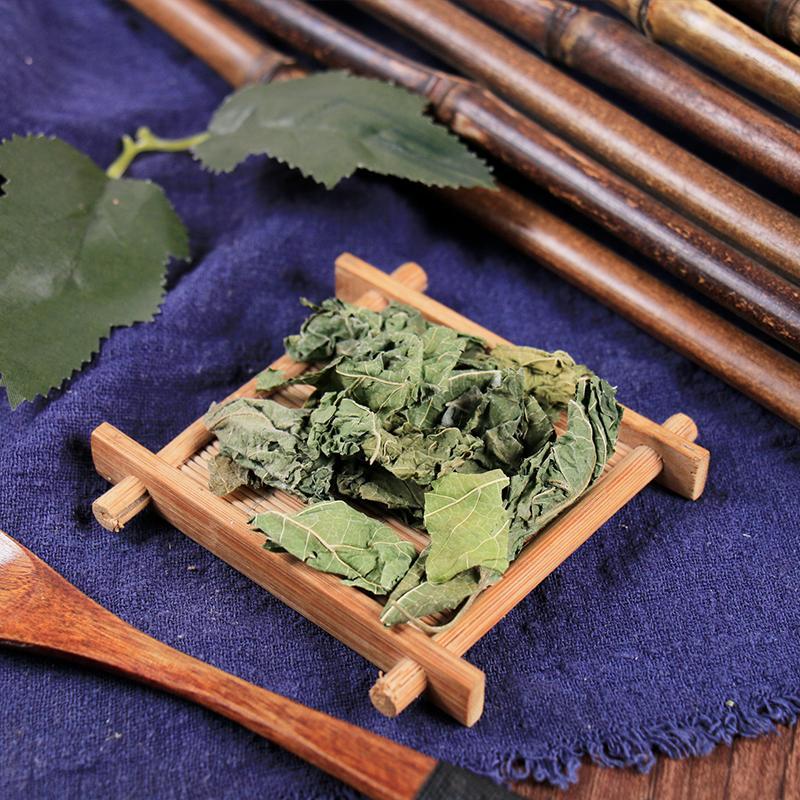 500g Shuang Sang Ye 霜桑葉, Folium Mori, Frost Mulberry Leaf-[Chinese Herbs Online]-[chinese herbs shop near me]-[Traditional Chinese Medicine TCM]-[chinese herbalist]-Find Chinese Herb™