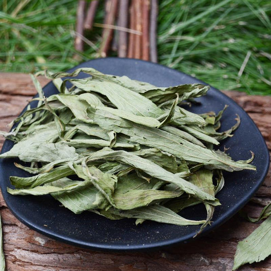 500g Tian Ye Ju 甜叶菊, Sweet Stevia, Dried Stevia Leaf-[Chinese Herbs Online]-[chinese herbs shop near me]-[Traditional Chinese Medicine TCM]-[chinese herbalist]-Find Chinese Herb™