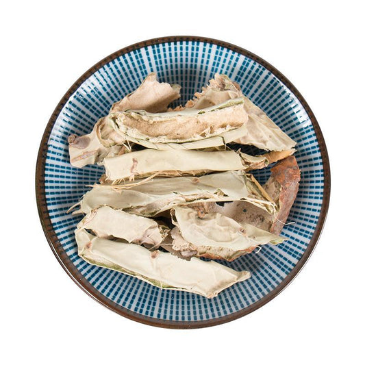 500g Xian Ren Zhang 仙人掌, Radix Opuntia Stricta, Cholla Root And Stem-[Chinese Herbs Online]-[chinese herbs shop near me]-[Traditional Chinese Medicine TCM]-[chinese herbalist]-Find Chinese Herb™