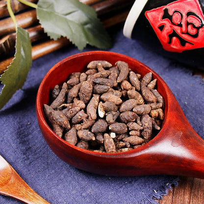 500g Xiang Fu Ge 香附个, Rhizoma Cyperi, Nutgrass Galingale Rhizome-[Chinese Herbs Online]-[chinese herbs shop near me]-[Traditional Chinese Medicine TCM]-[chinese herbalist]-Find Chinese Herb™