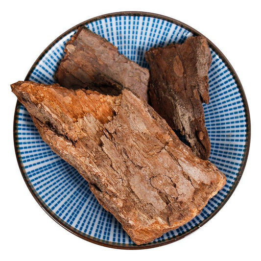 500g Xiang Zhang Shu Pi 香樟樹皮, Camphortree Bark, Cortex Cinnamomi Camphorae-[Chinese Herbs Online]-[chinese herbs shop near me]-[Traditional Chinese Medicine TCM]-[chinese herbalist]-Find Chinese Herb™