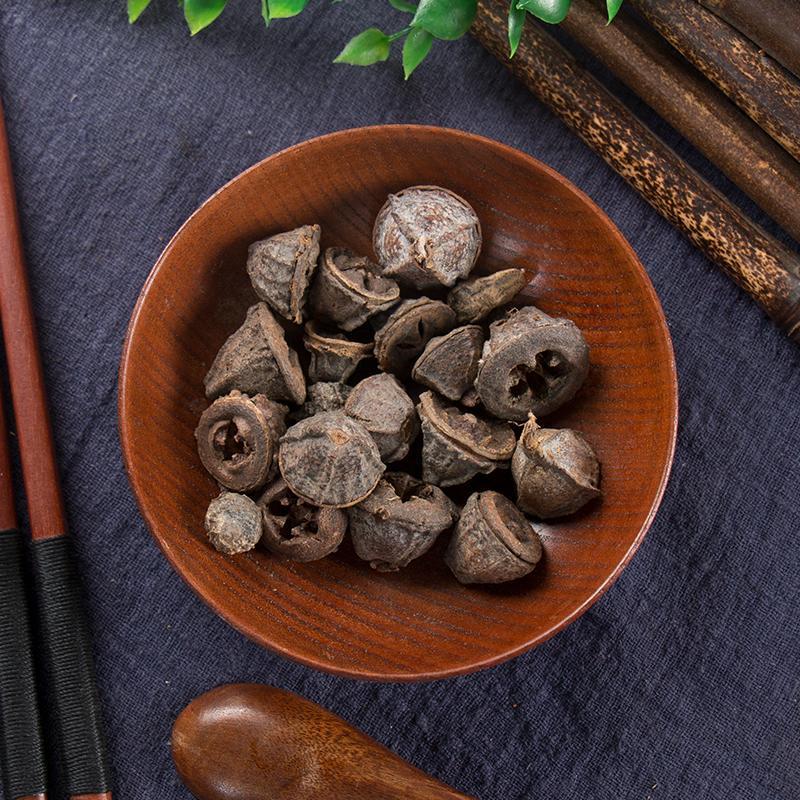 500g Yi Kou Zhong 一口钟, Eucalyptus Globulus Labill. Fruit, An Guo-[Chinese Herbs Online]-[chinese herbs shop near me]-[Traditional Chinese Medicine TCM]-[chinese herbalist]-Find Chinese Herb™