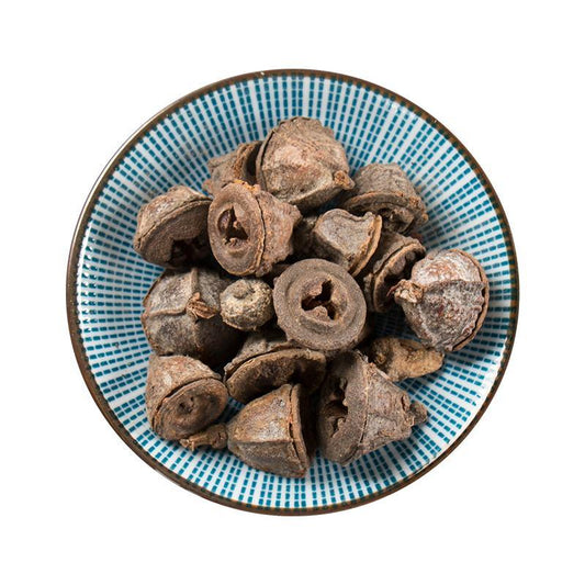 500g Yi Kou Zhong 一口钟, Eucalyptus Globulus Labill. Fruit, An Guo-[Chinese Herbs Online]-[chinese herbs shop near me]-[Traditional Chinese Medicine TCM]-[chinese herbalist]-Find Chinese Herb™