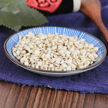 500g Yi Yi Ren 薏苡仁, Yi Ren, Yi Mi, Coix Seed, Semen Coicis-[Chinese Herbs Online]-[chinese herbs shop near me]-[Traditional Chinese Medicine TCM]-[chinese herbalist]-Find Chinese Herb™
