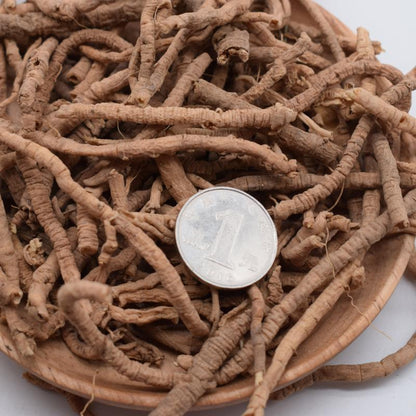 500g Yuan Zhi 远志, RADIX POLYGALAE, Polygala Tenuifolia Root, Thinleaf Milkwort Root Bark-[Chinese Herbs Online]-[chinese herbs shop near me]-[Traditional Chinese Medicine TCM]-[chinese herbalist]-Find Chinese Herb™