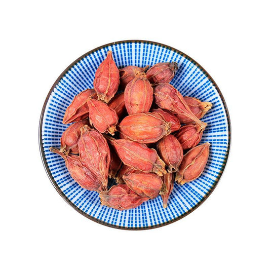 500g Zhi Zi 梔子, Shan Zhi, Fructus Gardeniae, Cape Jasmine Fruit-[Chinese Herbs Online]-[chinese herbs shop near me]-[Traditional Chinese Medicine TCM]-[chinese herbalist]-Find Chinese Herb™
