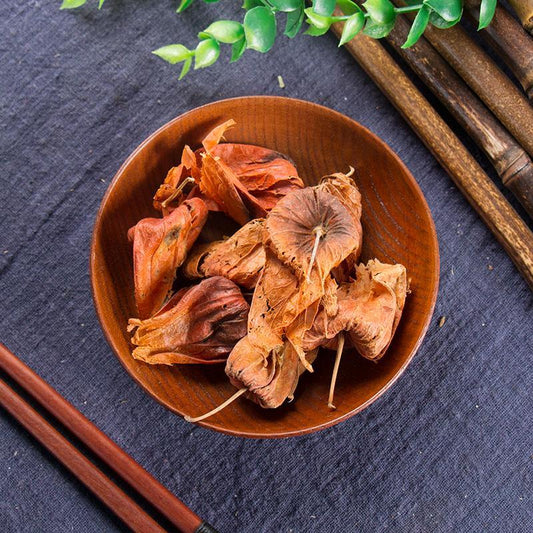 50g Jin Deng Long 錦燈籠, Calyx Seu Fructus Physalis, Franchet Groundcherry-[Chinese Herbs Online]-[chinese herbs shop near me]-[Traditional Chinese Medicine TCM]-[chinese herbalist]-Find Chinese Herb™