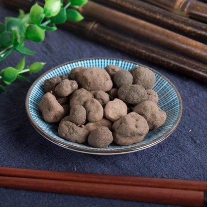 50g Lei Wan 雷丸, Omphalia Fruiting Body, Mylitta, Thunderball Fungus-[Chinese Herbs Online]-[chinese herbs shop near me]-[Traditional Chinese Medicine TCM]-[chinese herbalist]-Find Chinese Herb™
