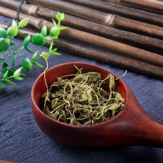 50g Yi Zhi Jian 一支箭, Herba Ophioglossi, Adder's Tongue Herb, Ping Er Xiao Cao-[Chinese Herbs Online]-[chinese herbs shop near me]-[Traditional Chinese Medicine TCM]-[chinese herbalist]-Find Chinese Herb™