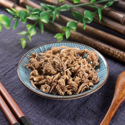 50g Zhu Er Shen 珠儿参, Rhizome Largeleaf Japanese Ginseng, Panax Japonicus-[Chinese Herbs Online]-[chinese herbs shop near me]-[Traditional Chinese Medicine TCM]-[chinese herbalist]-Find Chinese Herb™