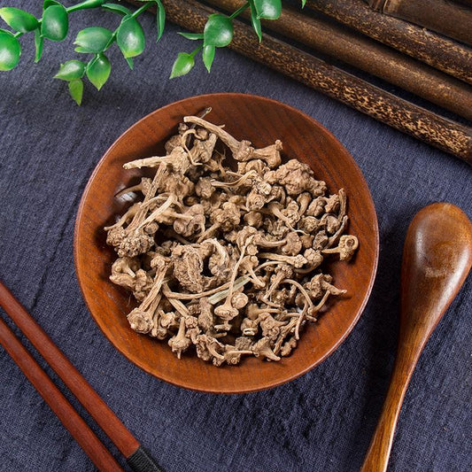 50g Zhu Er Shen 珠儿参, Rhizome Largeleaf Japanese Ginseng, Panax Japonicus-[Chinese Herbs Online]-[chinese herbs shop near me]-[Traditional Chinese Medicine TCM]-[chinese herbalist]-Find Chinese Herb™