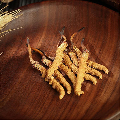 Dong Chong Xia Cao 冬虫夏草, Cordyceps Sinensis, Yartsa Gumbu, Caterpillar Fungus-[Chinese Herbs Online]-[chinese herbs shop near me]-[Traditional Chinese Medicine TCM]-[chinese herbalist]-Find Chinese Herb™