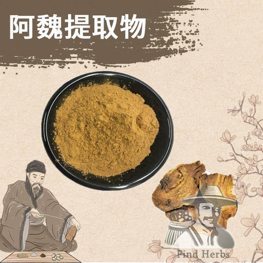 Extract Powder A Wei Root 阿魏根, Asiatica, Devil's Herb, Chinese Asafoetida, Ferulae-[Chinese Herbs Online]-[chinese herbs shop near me]-[Traditional Chinese Medicine TCM]-[chinese herbalist]-Find Chinese Herb™