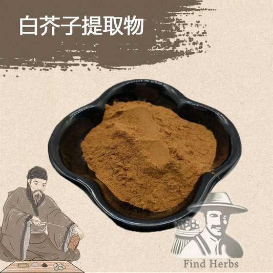 Extract Powder Bai Jie Zi 白芥子, Semen Brassicae, White Mustard Seed, Semen Sinapis Albae-[Chinese Herbs Online]-[chinese herbs shop near me]-[Traditional Chinese Medicine TCM]-[chinese herbalist]-Find Chinese Herb™