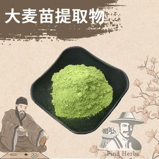 Extract Powder Barley Seedling, Da Mai Miao 大麦苗-[Chinese Herbs Online]-[chinese herbs shop near me]-[Traditional Chinese Medicine TCM]-[chinese herbalist]-Find Chinese Herb™