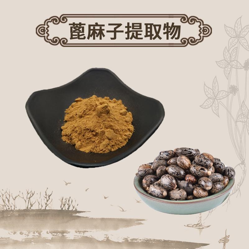 Extract Powder Bi Ma Zi 蓖麻子, Semen Ricini, Castor Bean-[Chinese Herbs Online]-[chinese herbs shop near me]-[Traditional Chinese Medicine TCM]-[chinese herbalist]-Find Chinese Herb™