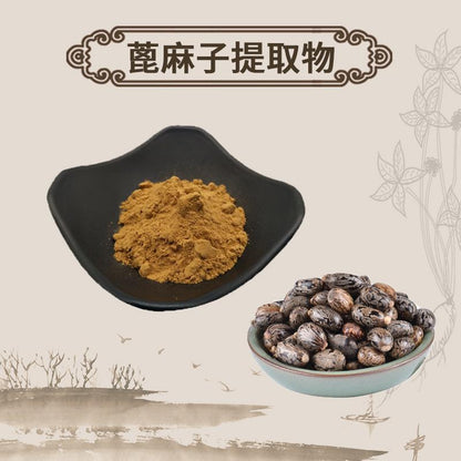 Extract Powder Bi Ma Zi 蓖麻子, Semen Ricini, Castor Bean-[Chinese Herbs Online]-[chinese herbs shop near me]-[Traditional Chinese Medicine TCM]-[chinese herbalist]-Find Chinese Herb™