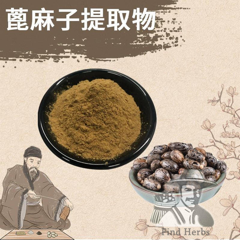 Extract Powder Bi Ma Zi 蓖麻子, Semen Ricini, Castor Bean-[Chinese Herbs Online]-[chinese herbs shop near me]-[Traditional Chinese Medicine TCM]-[chinese herbalist]-Find Chinese Herb™