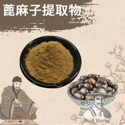 Extract Powder Bi Ma Zi 蓖麻子, Semen Ricini, Castor Bean-[Chinese Herbs Online]-[chinese herbs shop near me]-[Traditional Chinese Medicine TCM]-[chinese herbalist]-Find Chinese Herb™