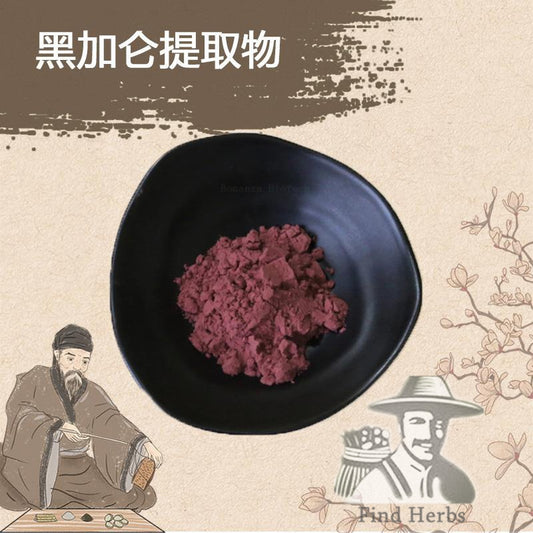 Extract Powder Black Currant, Ribes Nigrum, Hei Jia Lun-[Chinese Herbs Online]-[chinese herbs shop near me]-[Traditional Chinese Medicine TCM]-[chinese herbalist]-Find Chinese Herb™