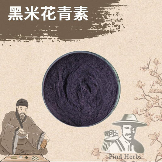 Extract Powder Black Rice, Oryza Sativa-[Chinese Herbs Online]-[chinese herbs shop near me]-[Traditional Chinese Medicine TCM]-[chinese herbalist]-Find Chinese Herb™